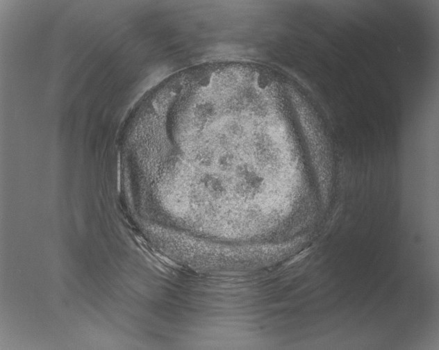 X0000076101219200610202127