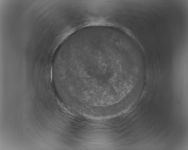 X0000076101221200610202127