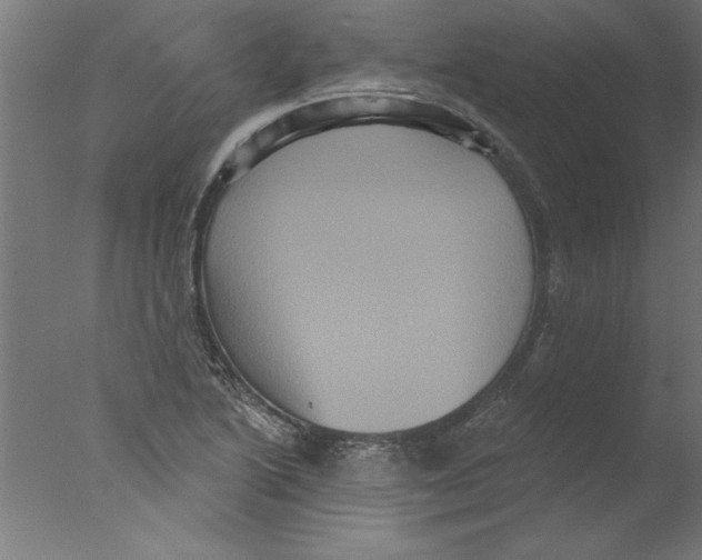 X0000076101222200610202127