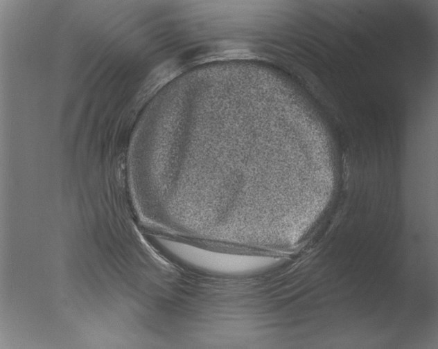 X0000076101225200610202127