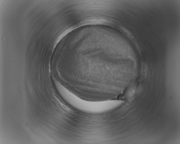 X0000076101226200610202127