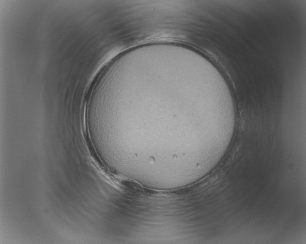 X0000076101227200610202127