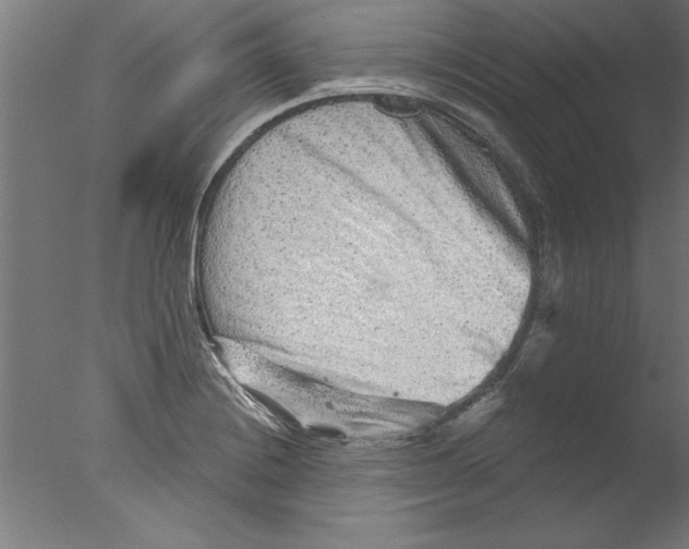 X0000076101228200610202127