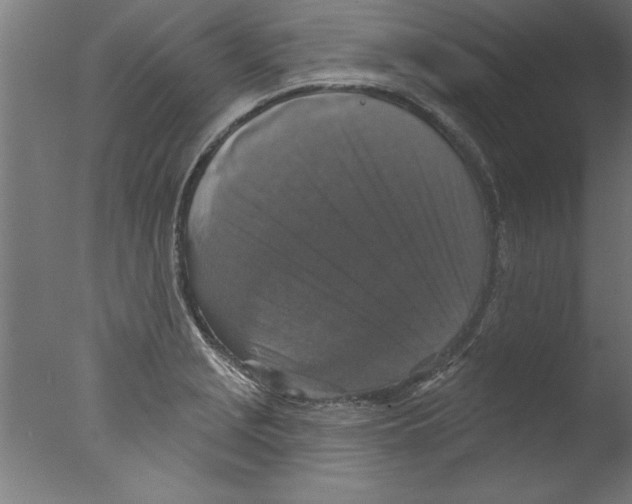 X0000076101229200610202127