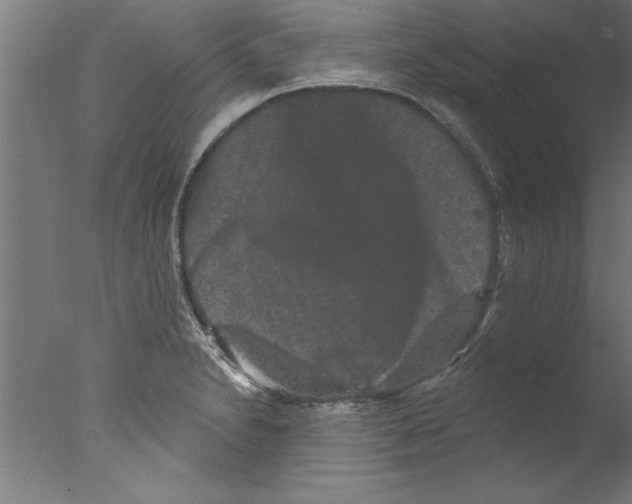 X0000076101230200610202127