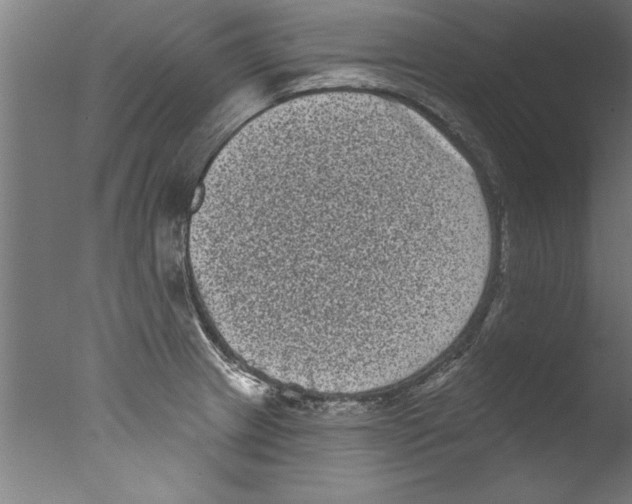 X0000076101233200610202127