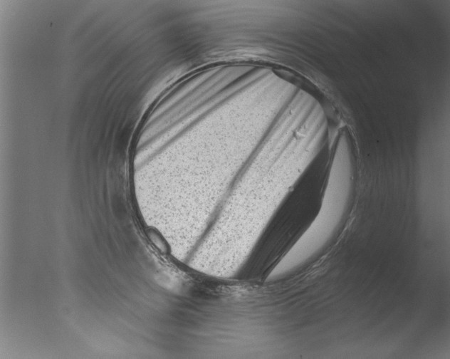 X0000076101234200610202127