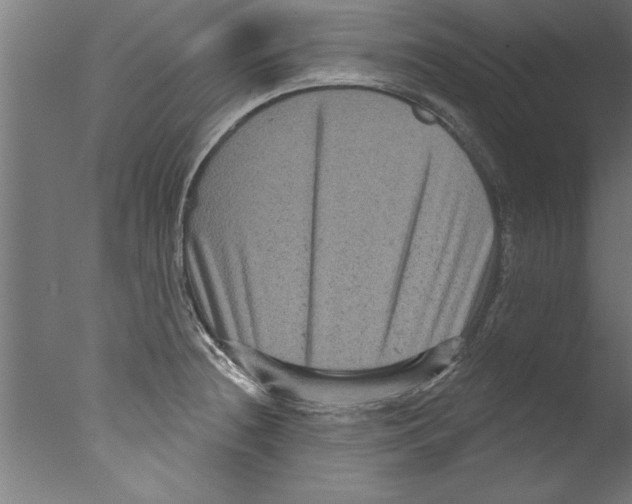 X0000076101236200610202127