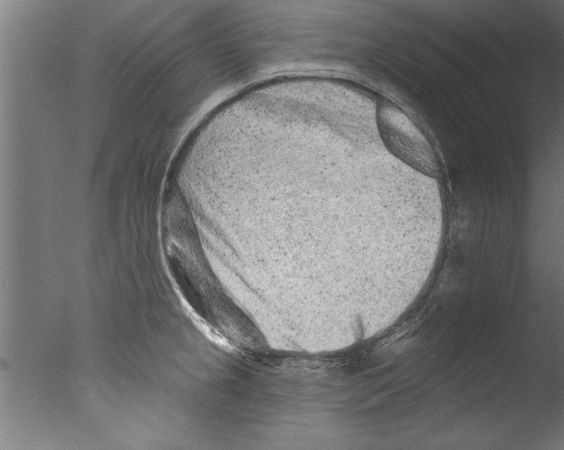 X0000076101237200610202127