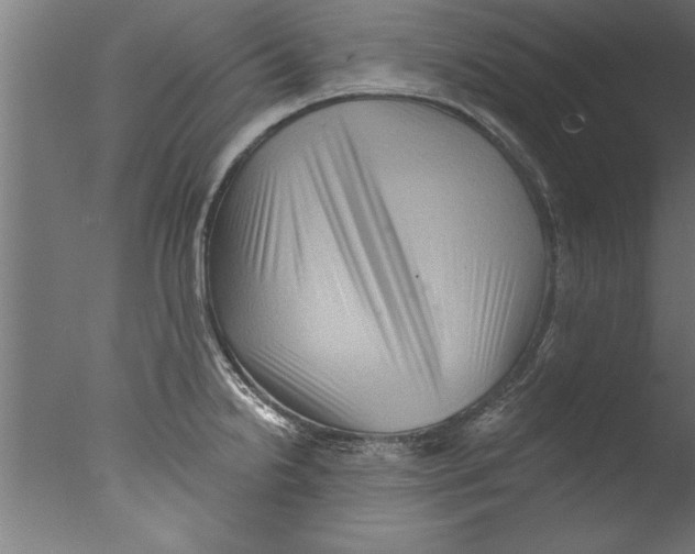 X0000076101238200610202127