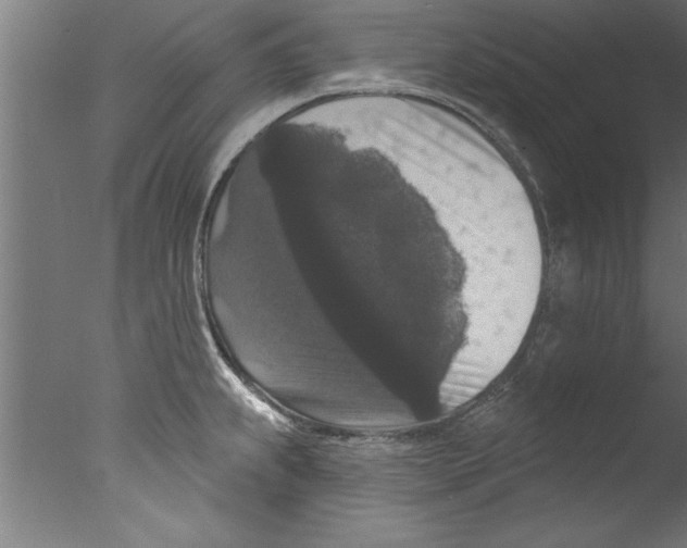 X0000076101239200610202127