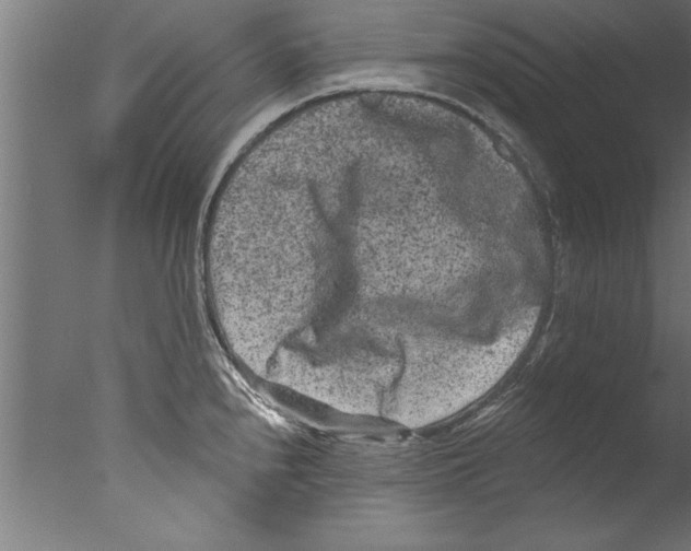 X0000076101240200610202127