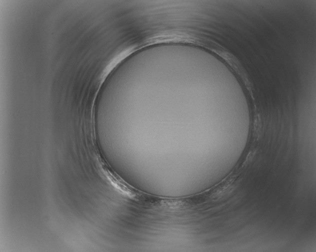 X0000076101242200610202127