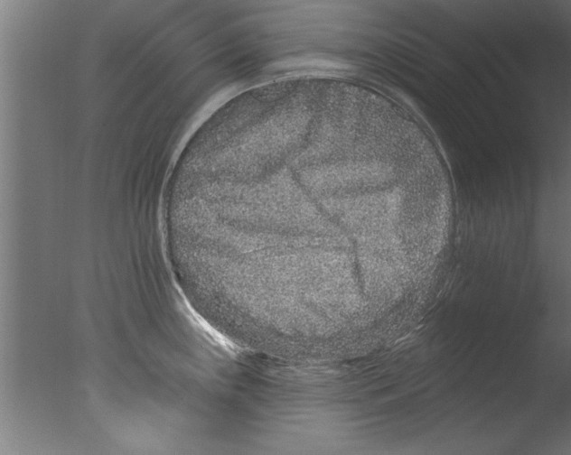 X0000076101243200610202127