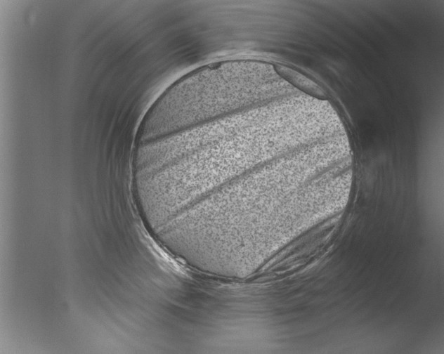 X0000076101244200610202127