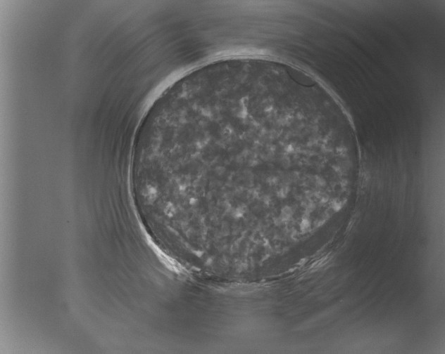 X0000076101245200610202127