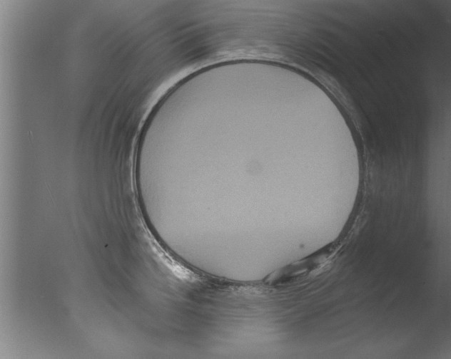 X0000076101246200610202127