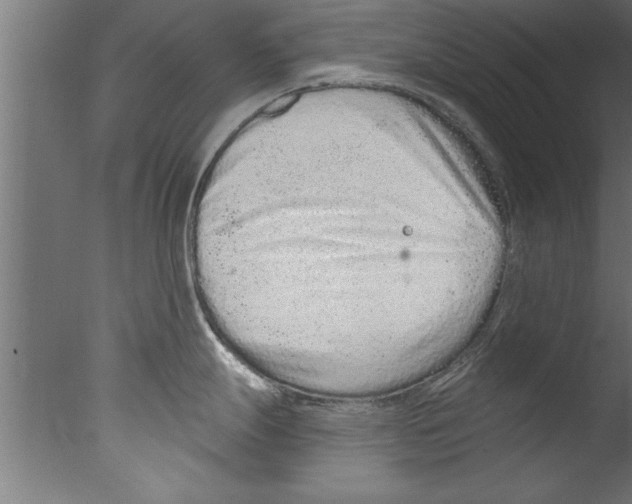 X0000076101247200610202127