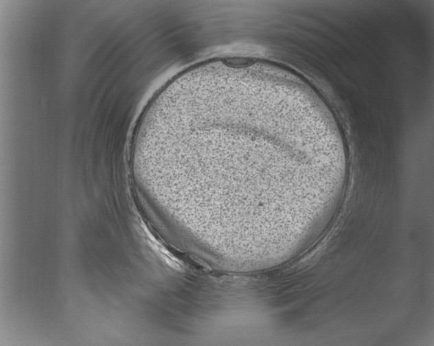 X0000076101248200610202127