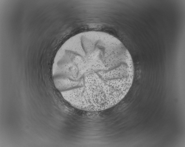 X0000076101249200610202127