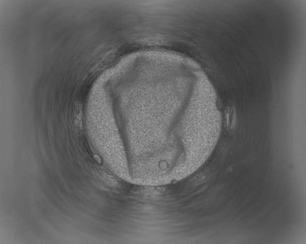 X0000076101251200610202127