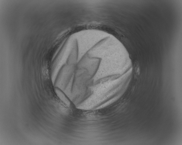 X0000076101252200610202126