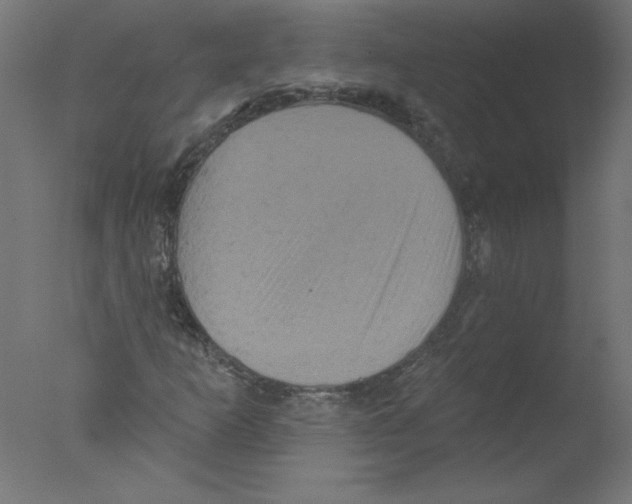 X0000076101253200610202126