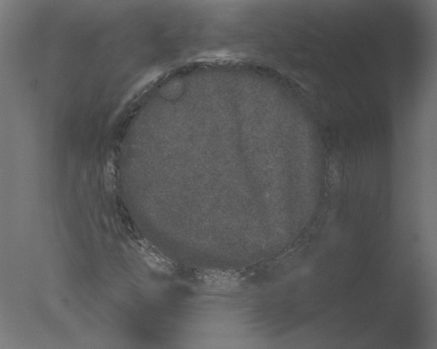 X0000076101254200610202126