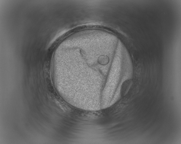 X0000076101255200610202126