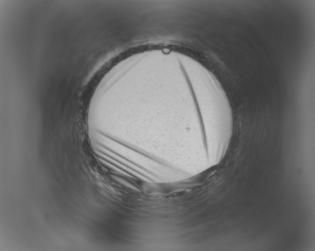 X0000076101256200610202126