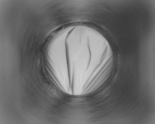 X0000076101257200610202126