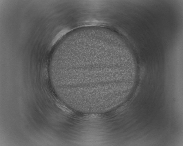 X0000076101259200610202126