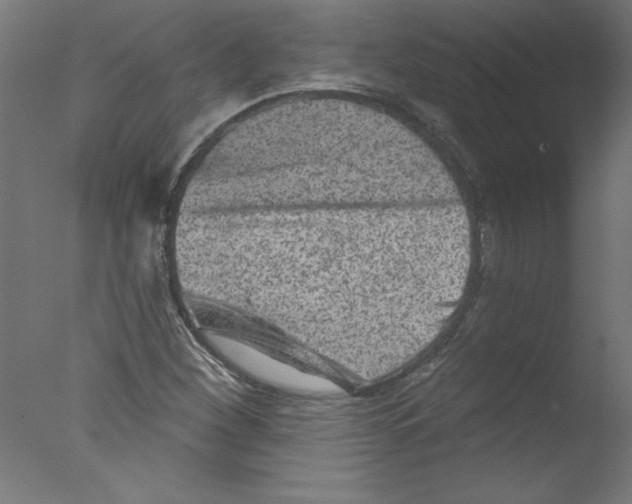 X0000076101260200610202126