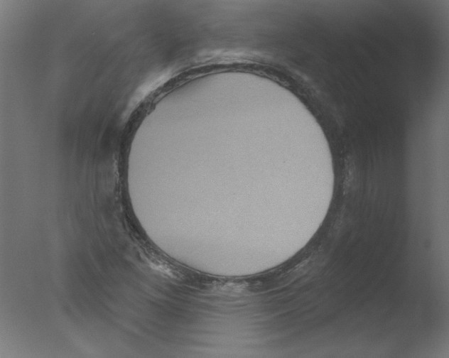 X0000076101261200610202126