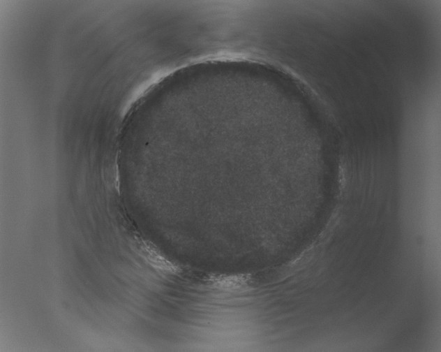 X0000076101262200610202126