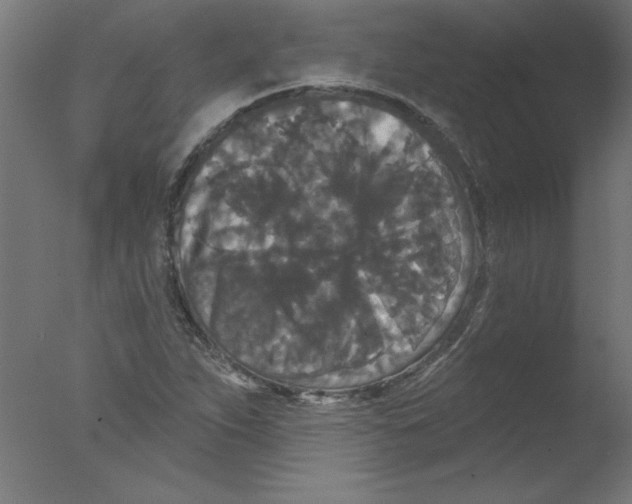 X0000076101263200610202126