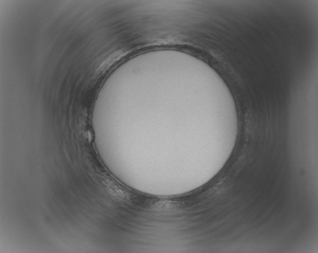 X0000076101265200610202126