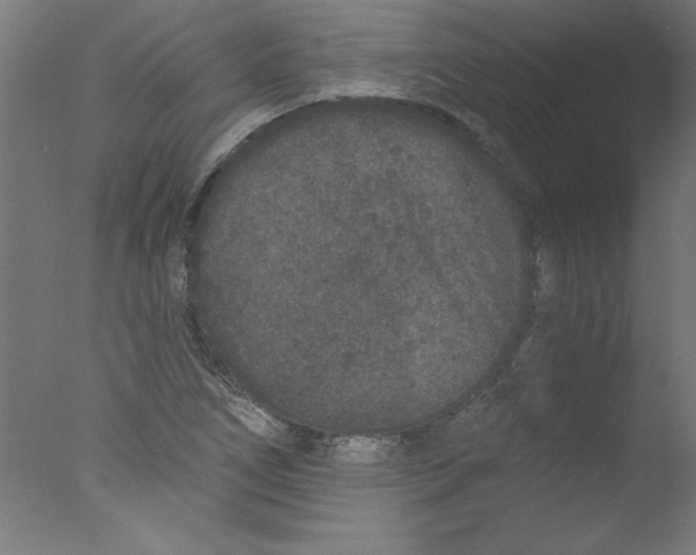 X0000076101266200610202126