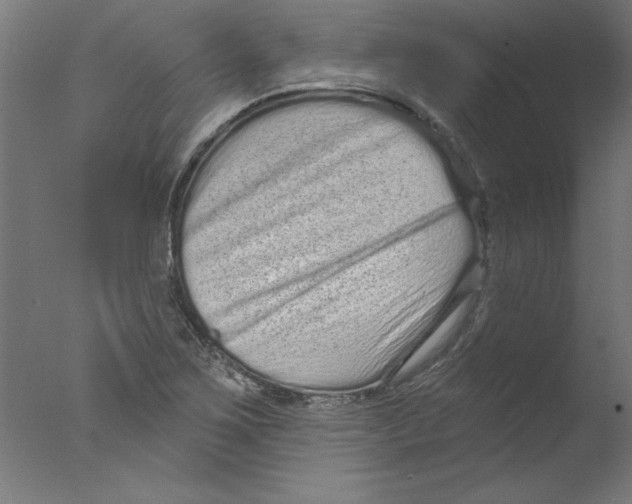 X0000076101267200610202126