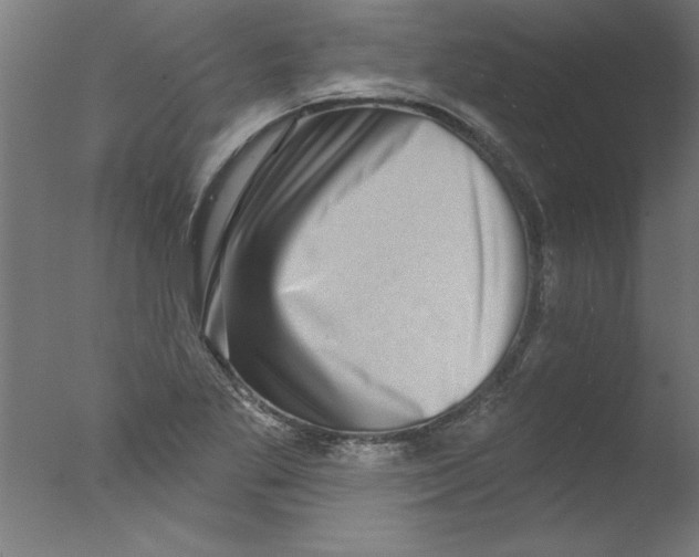 X0000076101269200610202126