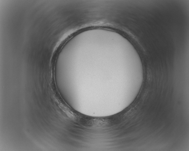 X0000076101270200610202126