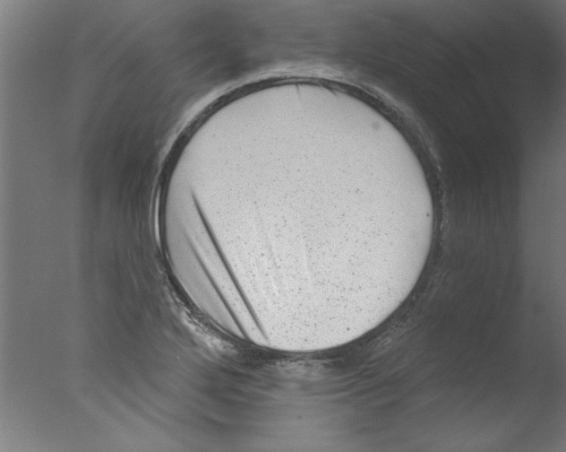 X0000076101272200610202126