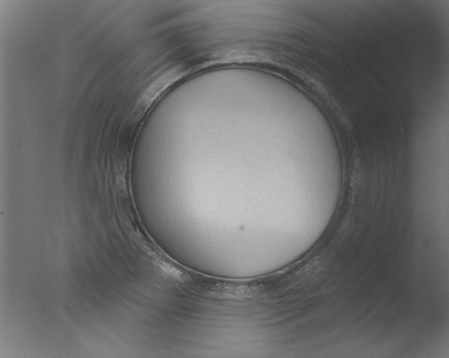 X0000076101273200610202126