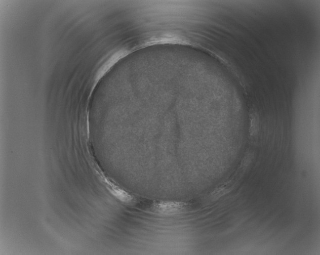 X0000076101274200610202126