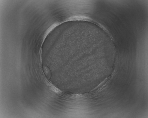 X0000076101275200610202126