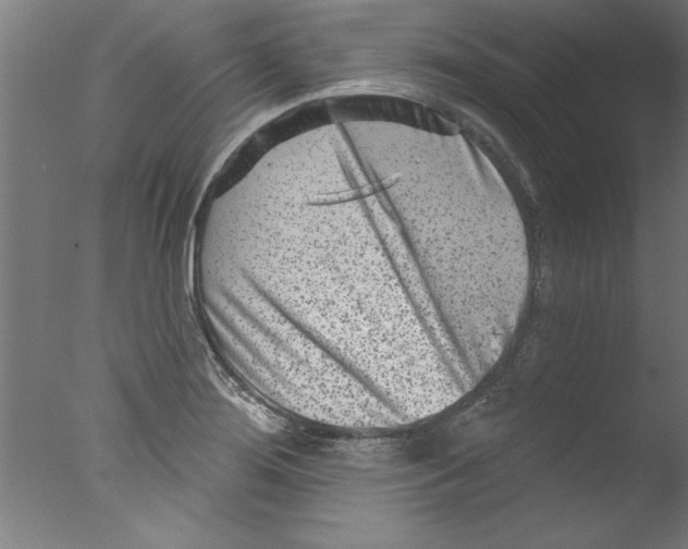 X0000076101276200610202126