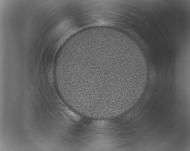 X0000076101278200610202126