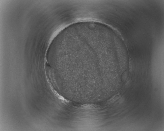 X0000076101279200610202126