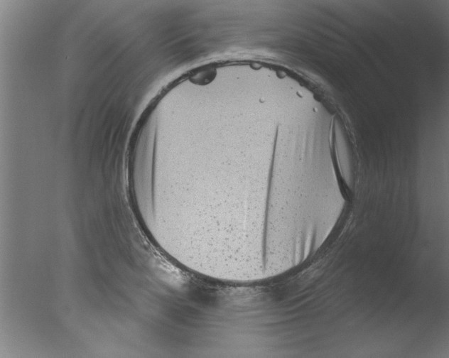 X0000076101280200610202126