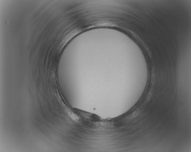 X0000076101281200610202126